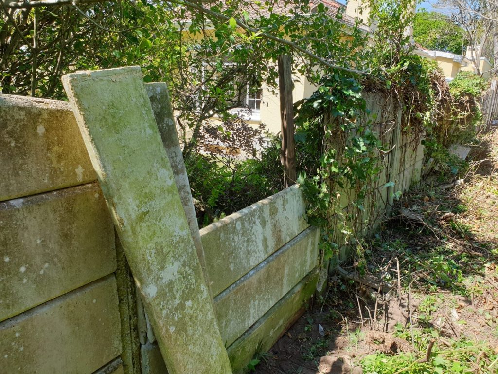a concrete wall with a fence and plants