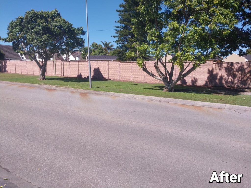 a road with trees and a brick wall