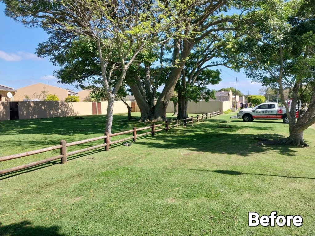 a car parked in a yard